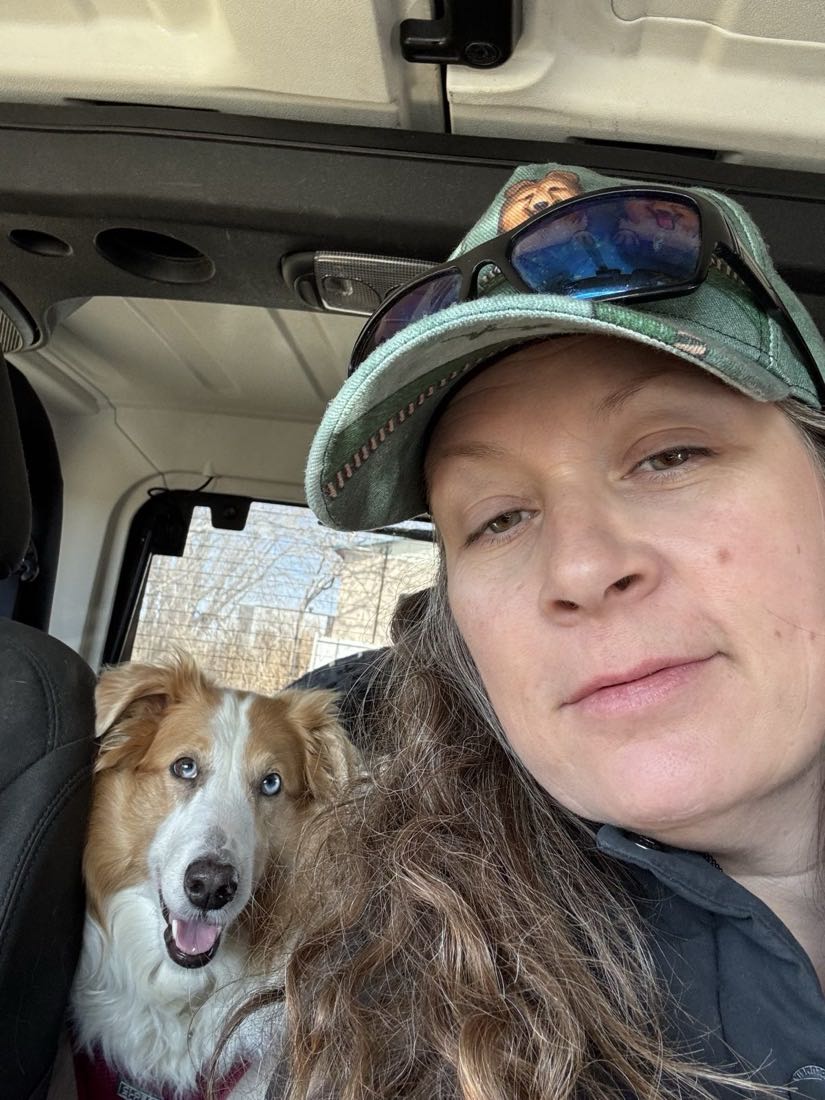 Travail d'obéissance avec un chien — La dresse à trois empreintes